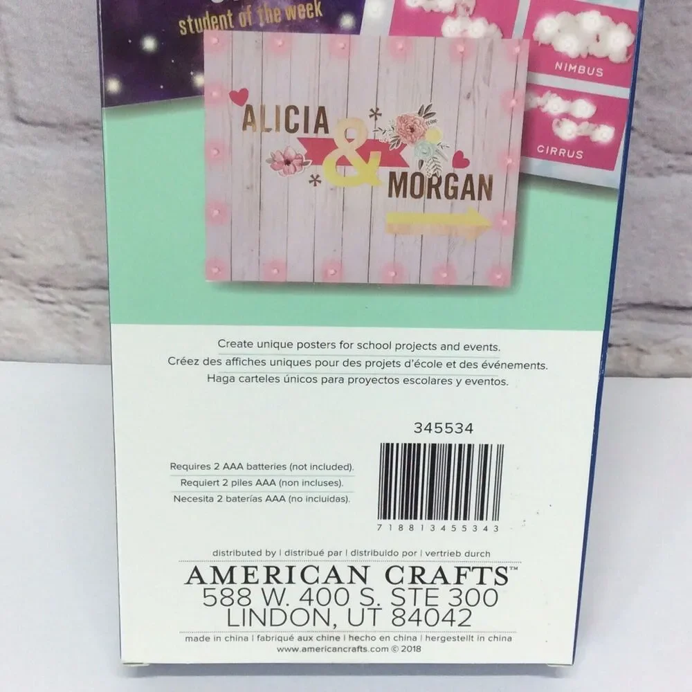 Poster Shop Pink 20 Light LED Strand w/Removable Bulb Caps Battery Powered Craft